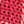 ROSELLE RED